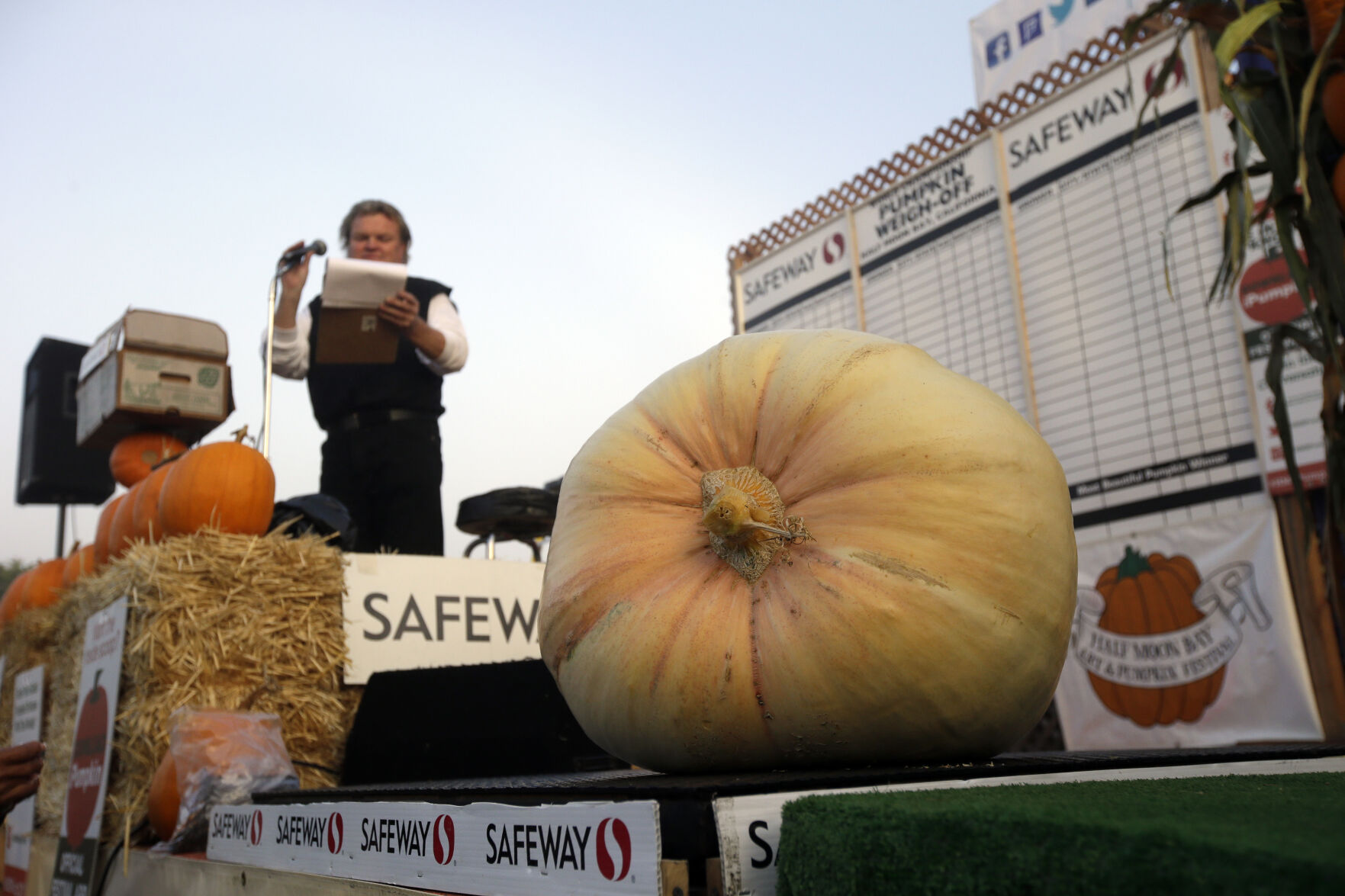 Pumpkin Contest